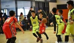 西安篮球最新爆料,最新爆料揭秘球队新动态